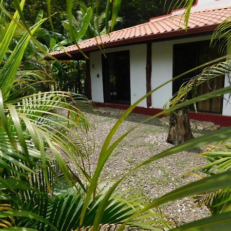 Villas Jungle 5 Самара Экстерьер фото