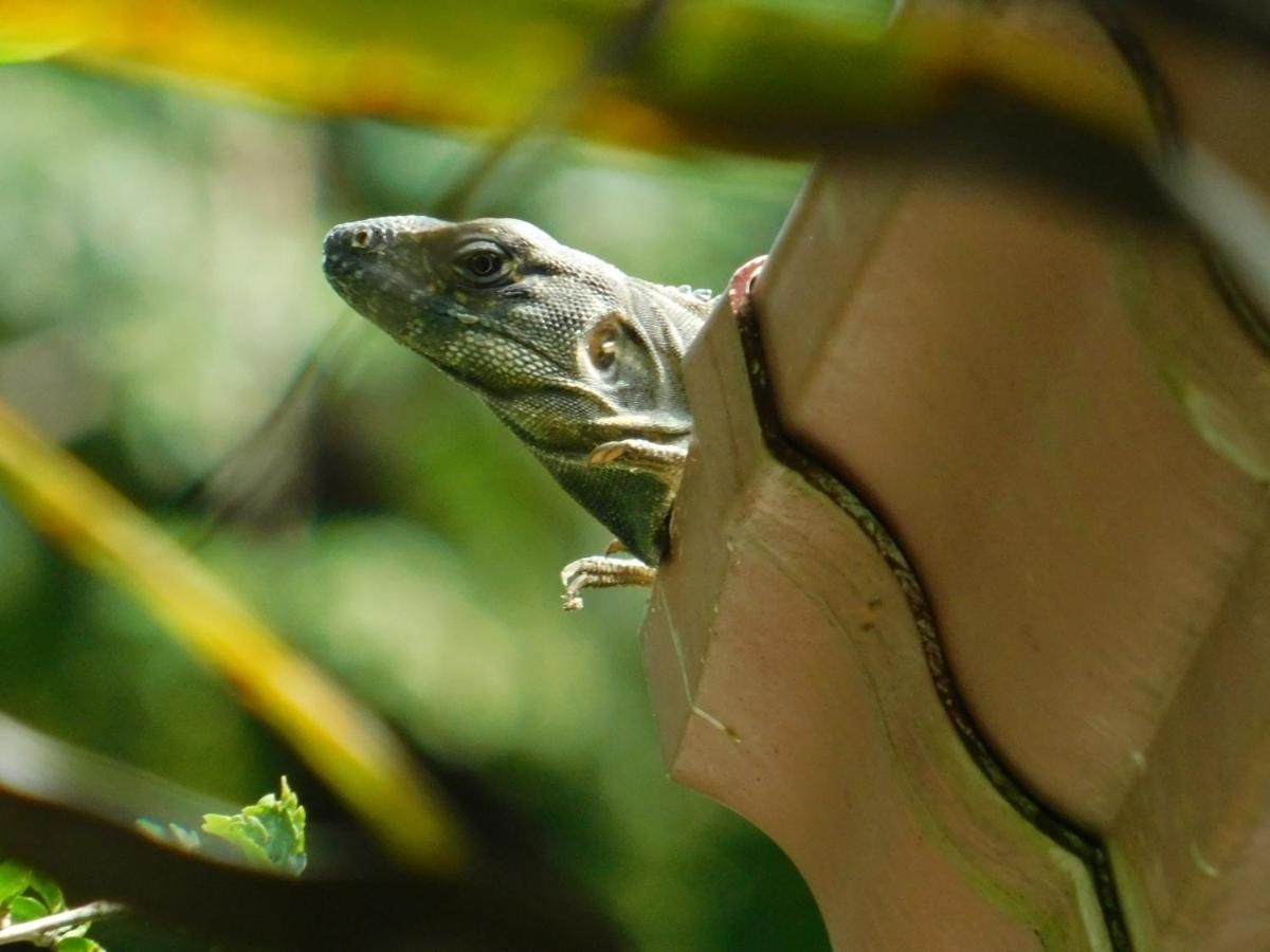 Villas Jungle 5 Самара Экстерьер фото