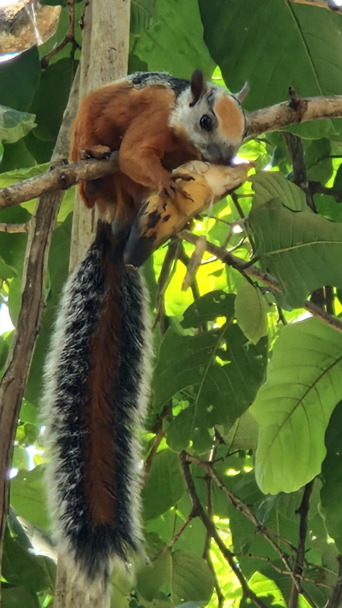 Villas Jungle 5 Самара Экстерьер фото